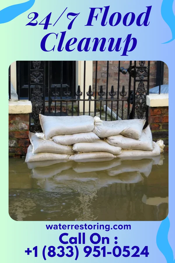 24/7 Flood Cleanup in Pleasant View, PA