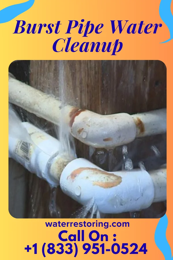 Burst Pipe Water Cleanup in Pleasant View, PA