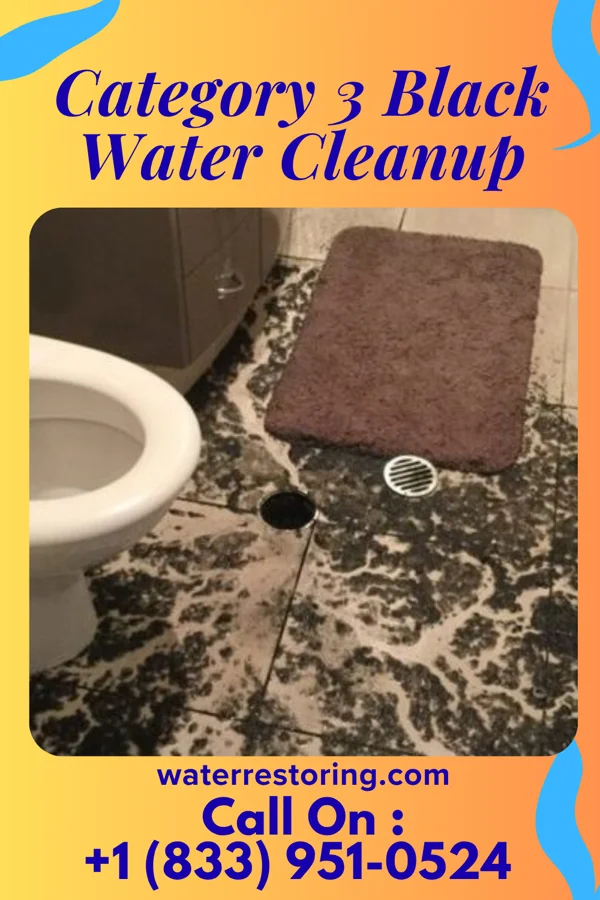 Category 3 Black Water Cleanup in Pleasant View, PA