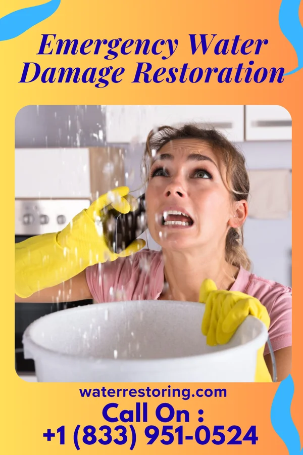 Emergency Water Damage Restoration in Pleasant View, PA