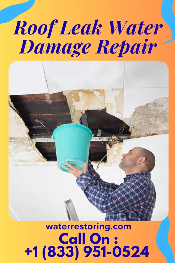 Roof Leak Water Damage Repair in Pleasant View, PA