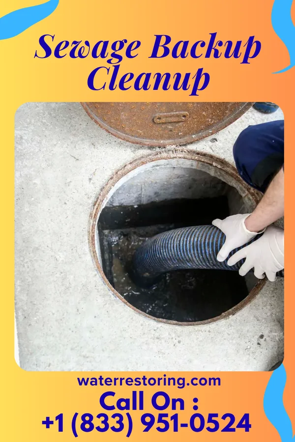 Sewage Backup Cleanup in Pleasant View, PA